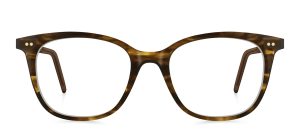 model 8029-2 (water)